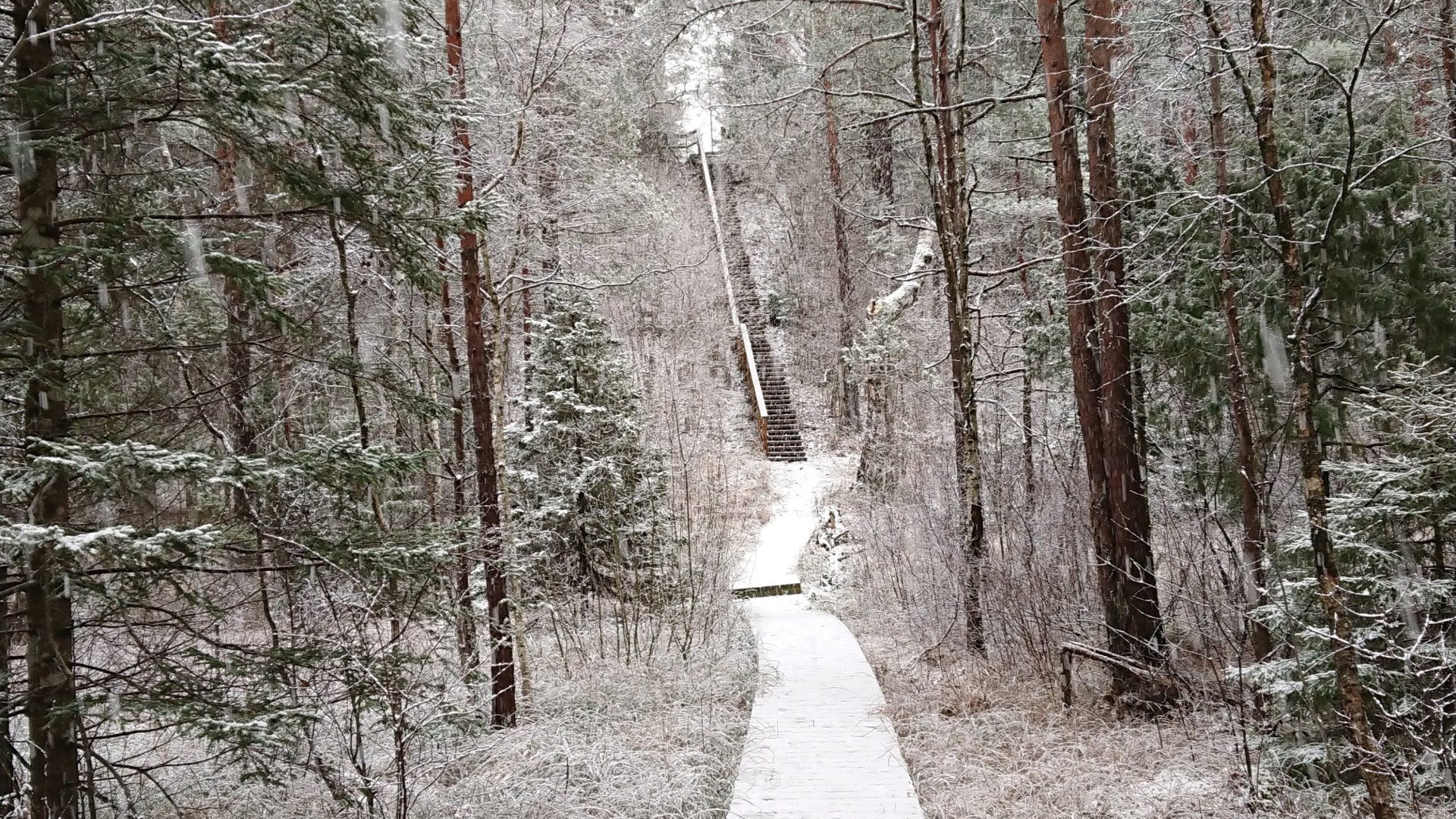 Matkarada Viidumäel