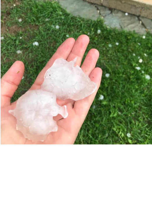Rahetera käes pärast rahesadu