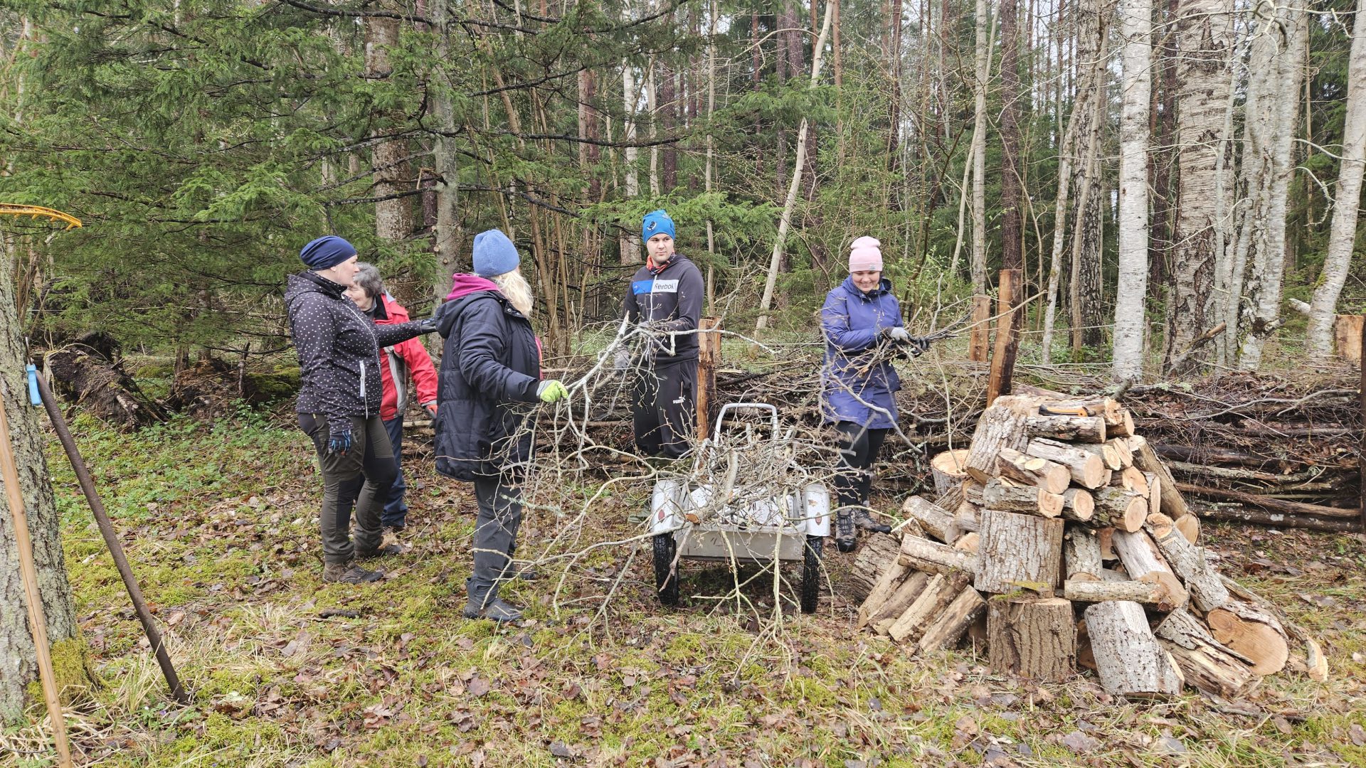 Talgulised Viidumäel